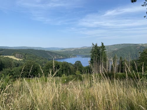 Strauch und Steckenborn Rundweg