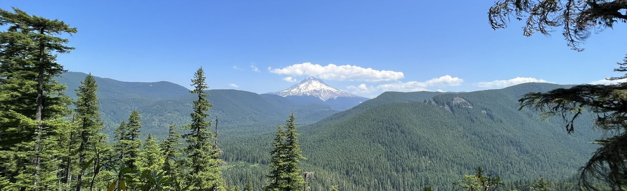 Cool Creek Trail to Devil's Peak, Oregon - 541 Reviews, Map | AllTrails