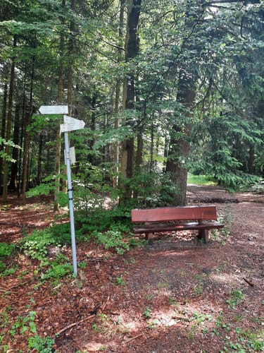 St. Roman Rundweg 16 (verkürzte Variante)
