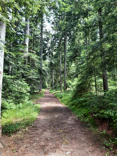 St. Roman Rundweg 16 (verkürzte Variante)