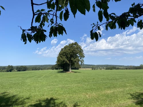 Rundwanderweg in Simmerath