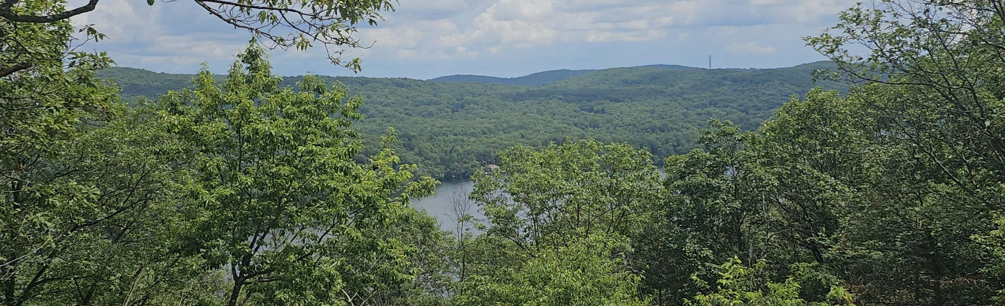 Oscawana Ridge Trail 47 Fotos New York AllTrails