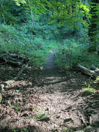 2023 Best Wildlife Trails in Tarentum | AllTrails