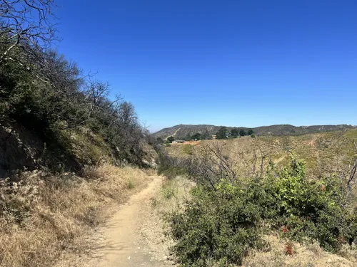 Best Trail Running Trails in Beaumont AllTrails