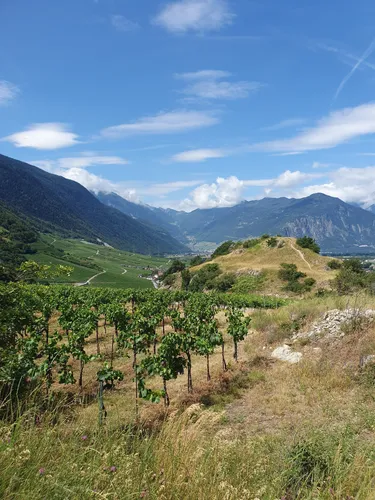 Best Walking Trails in Charrat AllTrails