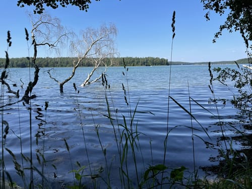 Stechlinsee und Dagowsee