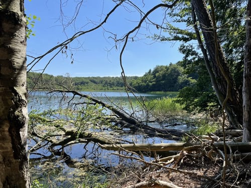 Stechlinsee und Dagowsee