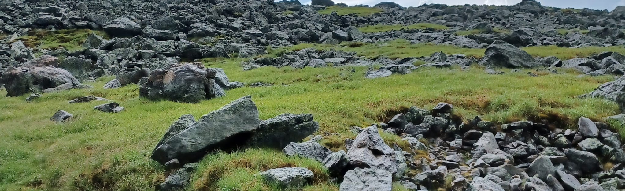Mount Monroe, Franklin, and Eisenhower via Ammonoosuc Ravine Trail 6.