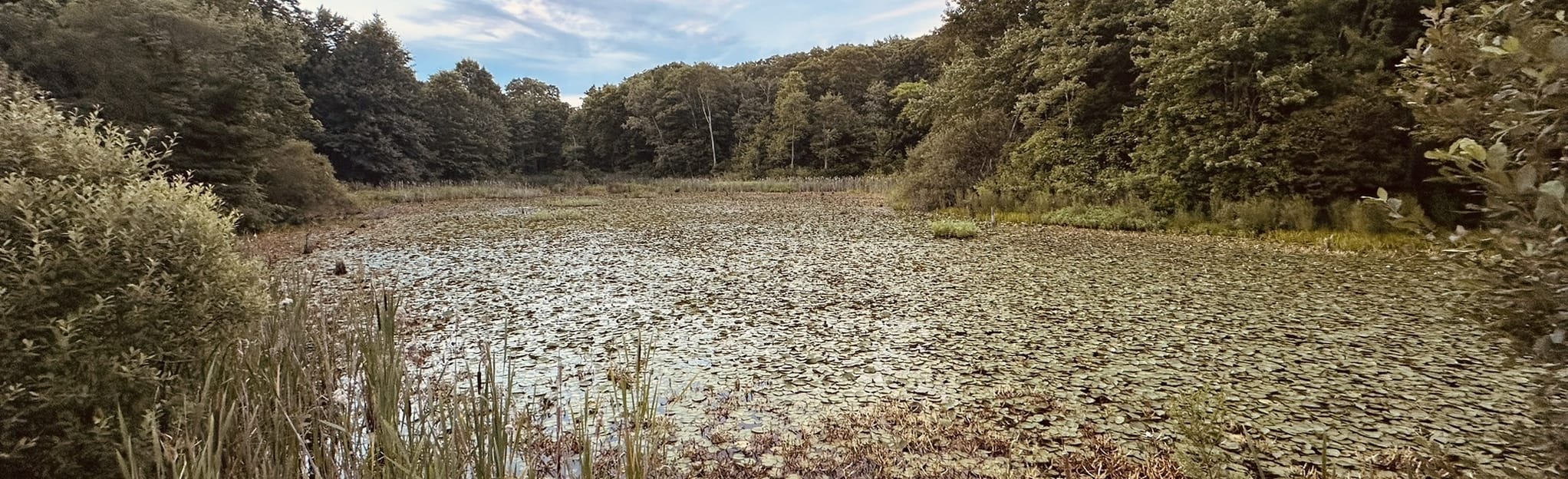 Tucker Hill Green Dot Trail Loop - EyJidWNrZXQiOiJhc3NldHMuYWxsdHJhaWxzLmNvbSIsImtleSI6InVwbG9hZHMvcGhvdG8vaW1hZ2UvNjIxNTI3NDMvYjgwZTk2MDIwZWQzOGE4YzgyNGZmNmJhOGEwNzA0NmYuanBnIiwiZWRpdHMiOnsidG9Gb3JtYXQiOiJqcGVnIiwicmVzaXplIjp7IndpZHRoIjoyMDQ0LCJoZWlnaHQiOjYyNCwiZml0IjoiY292ZXIifSwicm90YXRlIjpudWxsLCJqcGVnIjp7InRyZWxsaXNRdWFudGlzYXRpb24iOnRydWUsIm92ZXJzaG9vdERlcmluZ2luZyI6dHJ1ZSwib3B0aW1pc2VTY2FucyI6dHJ1ZSwicXVhbnRpc2F0aW9uVGFibGUiOjN9fX0=