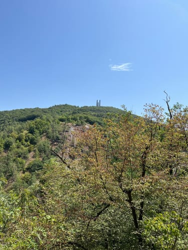 Rheinsteig Etappe 12: Braubach - Kamp-Bornhofen