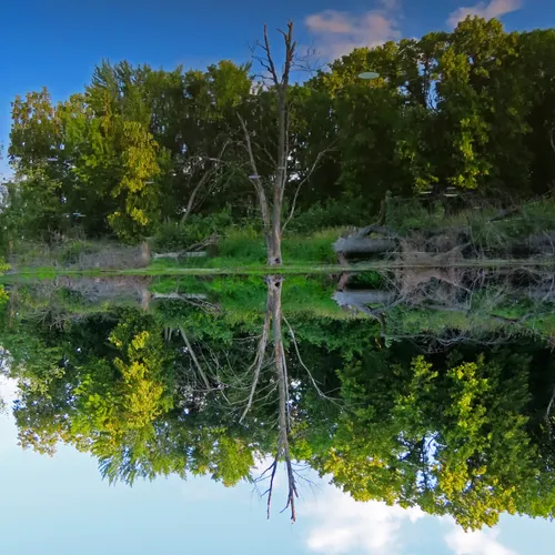 Best Hikes and Trails in Petrie Island Park AllTrails