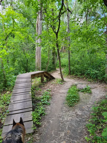 Carver lake park mountain best sale bike trail