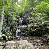 Jones Run Falls Trail, Virginia - 766 Reviews, Map | AllTrails