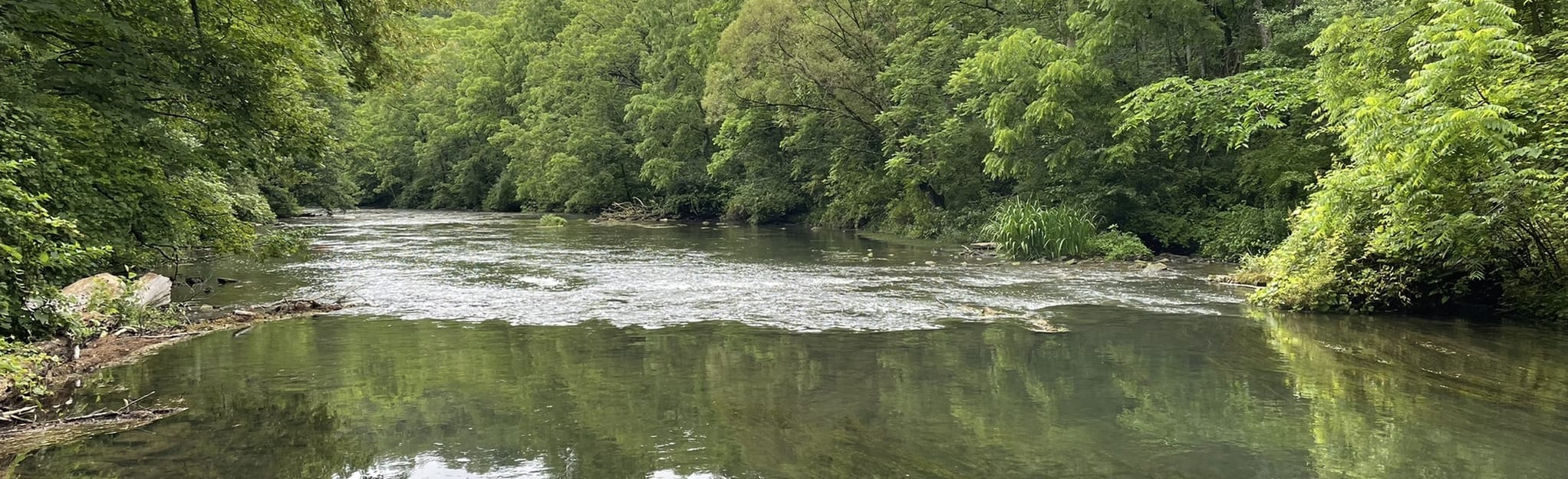 AllTrails Spring Creek Canyon Trail 412 Reviews, Map Pennsylvania