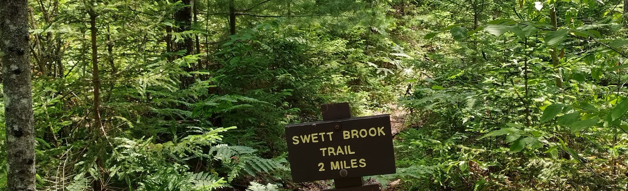 Mount Blue Campground Trails, Maine 2 Reviews, Map AllTrails