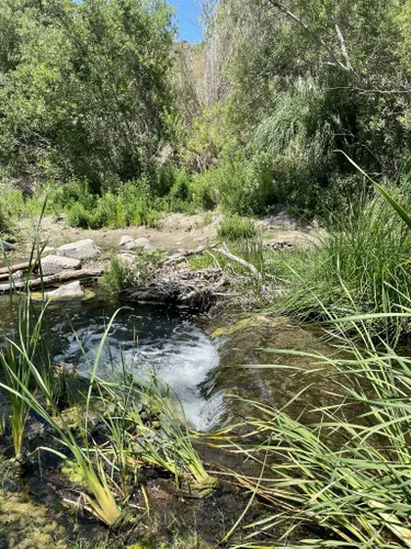 Best Hikes and Trails in Descanso Veterans Park | AllTrails