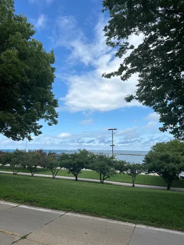 se permiten perros en grant park chicago