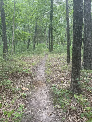 Best 10 Hiking Trails in St. Francois State Park | AllTrails