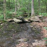 Cat Rocks via Appalachian Trail, New York - 402 Reviews, Map | AllTrails