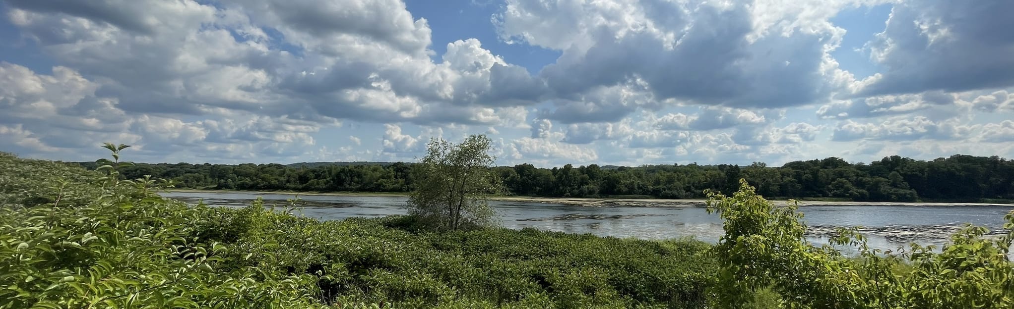 Pleasant Valley Lakelet Prairie and Lower Bluff Trail Loop: 294 Reviews ...