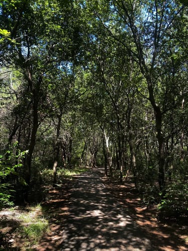 Sutton wilderness outlet trail