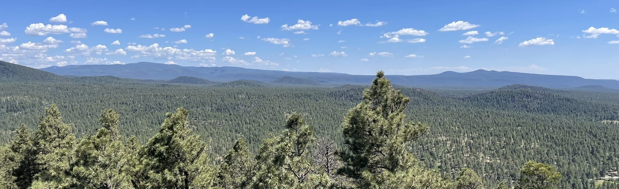 Lake Mountain via Road: 7 Reviews, Map - Arizona | AllTrails