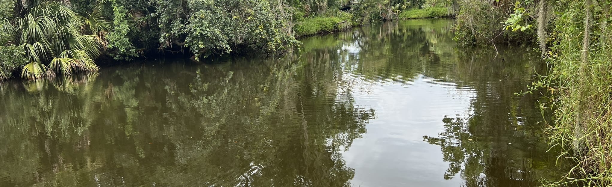 Turkey Creek Red Trail Loop, Florida 270 Reviews, Map AllTrails