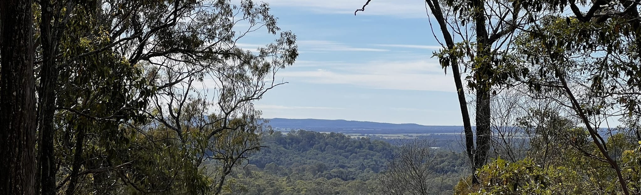 Upper Ormeau Loop, Queensland, Australia - 152 Reviews, Map | AllTrails