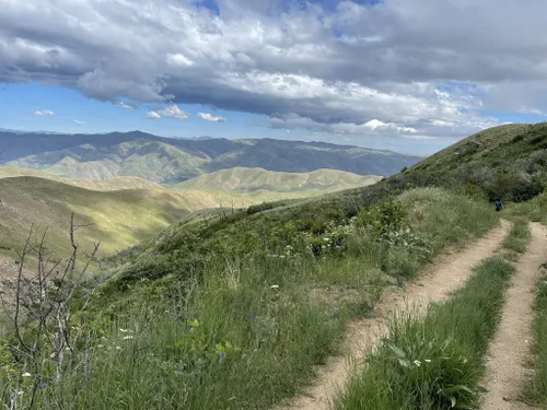 Results – Boise Front Trail Run
