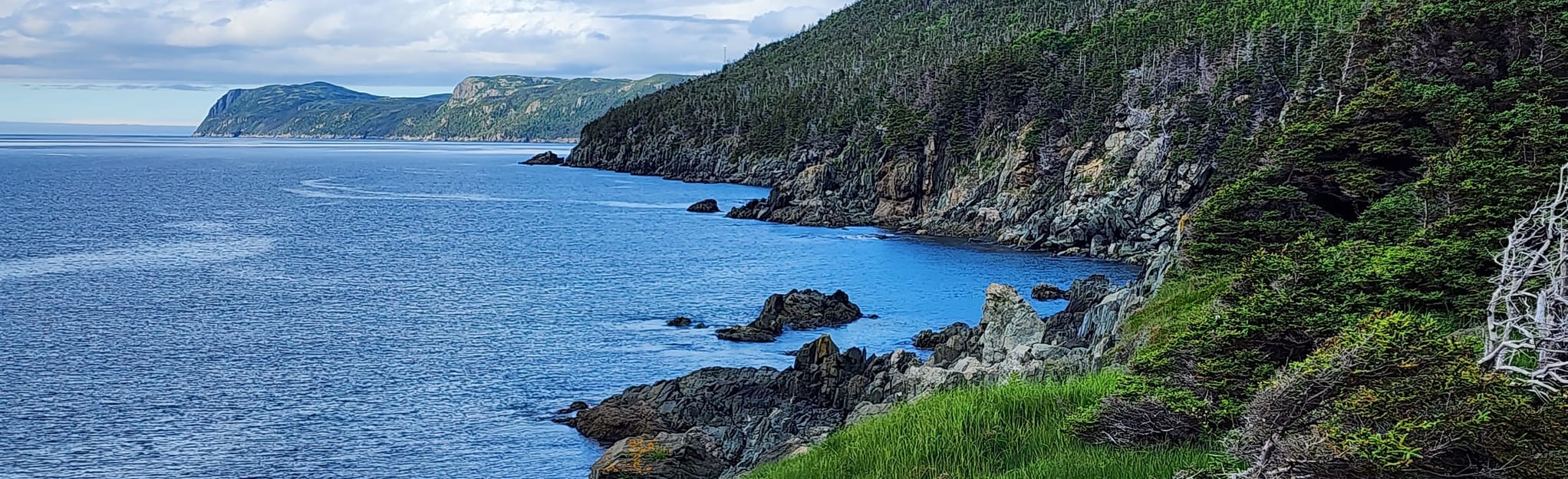 Goat's Cove 512 foto's Newfoundland en Labrador, Canada AllTrails