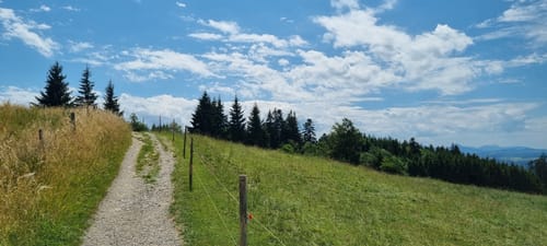 Münchner Jakobsweg Etappe 7: Lechbruck - Marktoberdorf