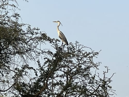 Weeze nach Kevelaer entlang der Niers