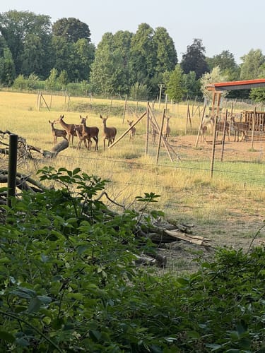 Weeze nach Kevelaer entlang der Niers