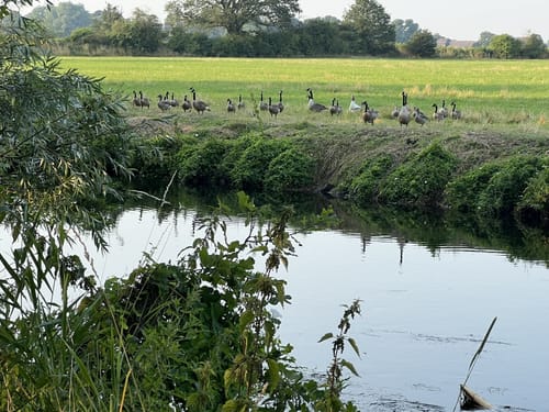 Weeze nach Kevelaer entlang der Niers
