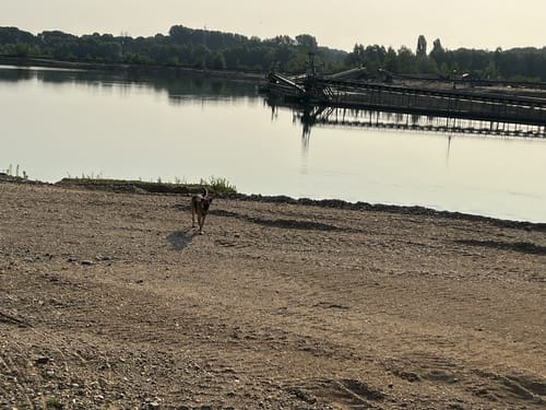Weeze nach Kevelaer entlang der Niers