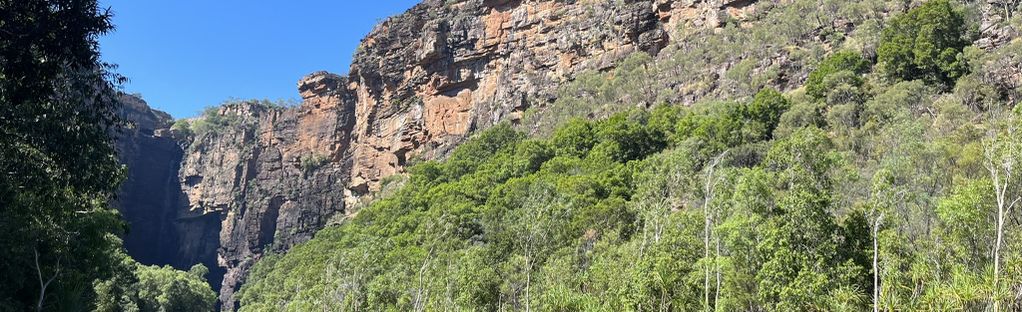 can you take dogs into kakadu