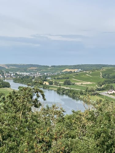 Vom Campingplatz Igel zum Moselblick und nach Liersberg