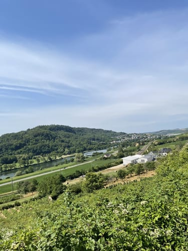 Vom Campingplatz Igel zum Moselblick und nach Liersberg