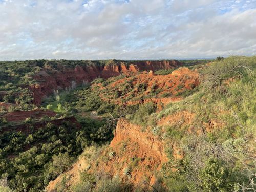 se permiten perros en el parque estatal caprock canyon