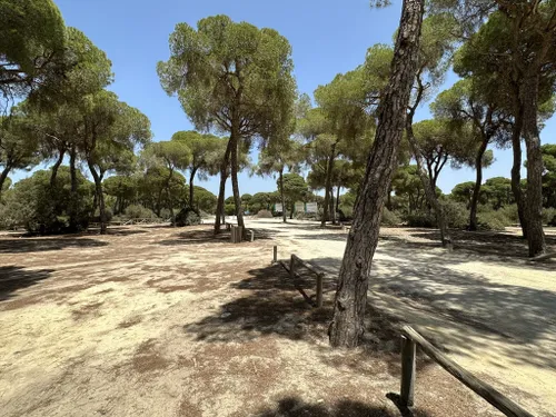 10 Best Hikes and Trails in Doñana National Park | AllTrails