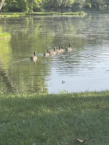 2023 Best Partially Paved Trails in Clear Brook AllTrails