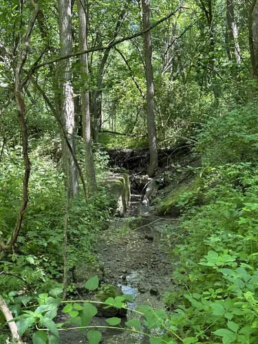 Historic Hills: 5 Beautiful Hiking Trails in Galena – Illinois