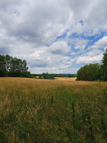 Rundwanderung Wiesthal - Habichtsthal