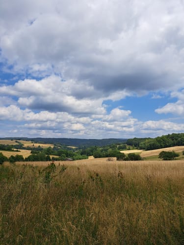 Rundwanderung Wiesthal - Habichtsthal
