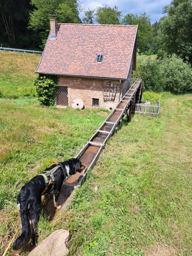 Rundwanderung Wiesthal - Habichtsthal