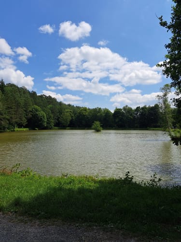 Rundwanderung Wiesthal - Habichtsthal