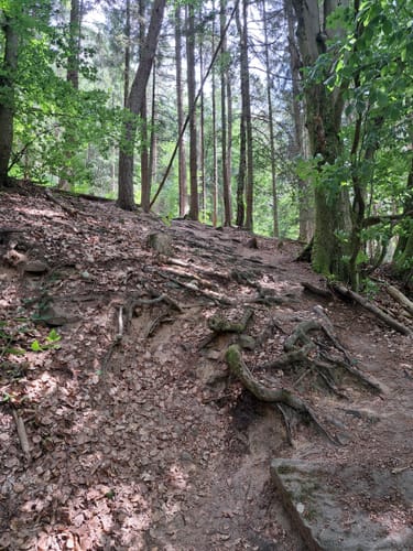 Rundwanderung Wiesthal - Habichtsthal