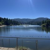 Lake Gregory Trail, California - 1,438 Reviews, Map | AllTrails