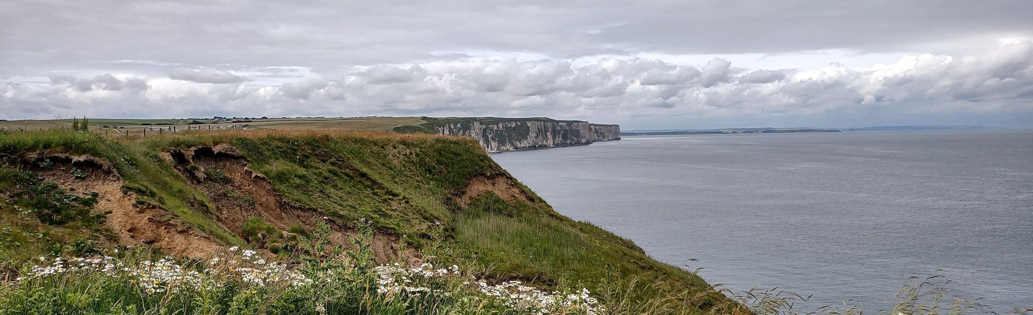 Thornwick Bay to Flamborough Head Lighthouse: 41 Reviews, Map - East ...