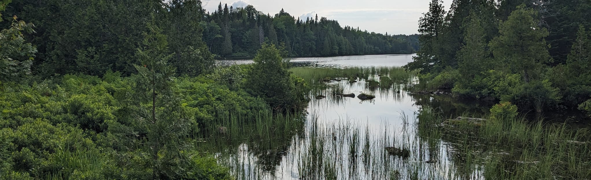 Lac Carré Loop 4 Reviews, Map Quebec, Canada AllTrails